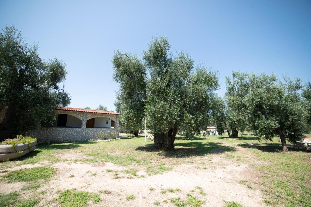 Coppola Rossa Relax Bed & Breakfast Vieste Luaran gambar
